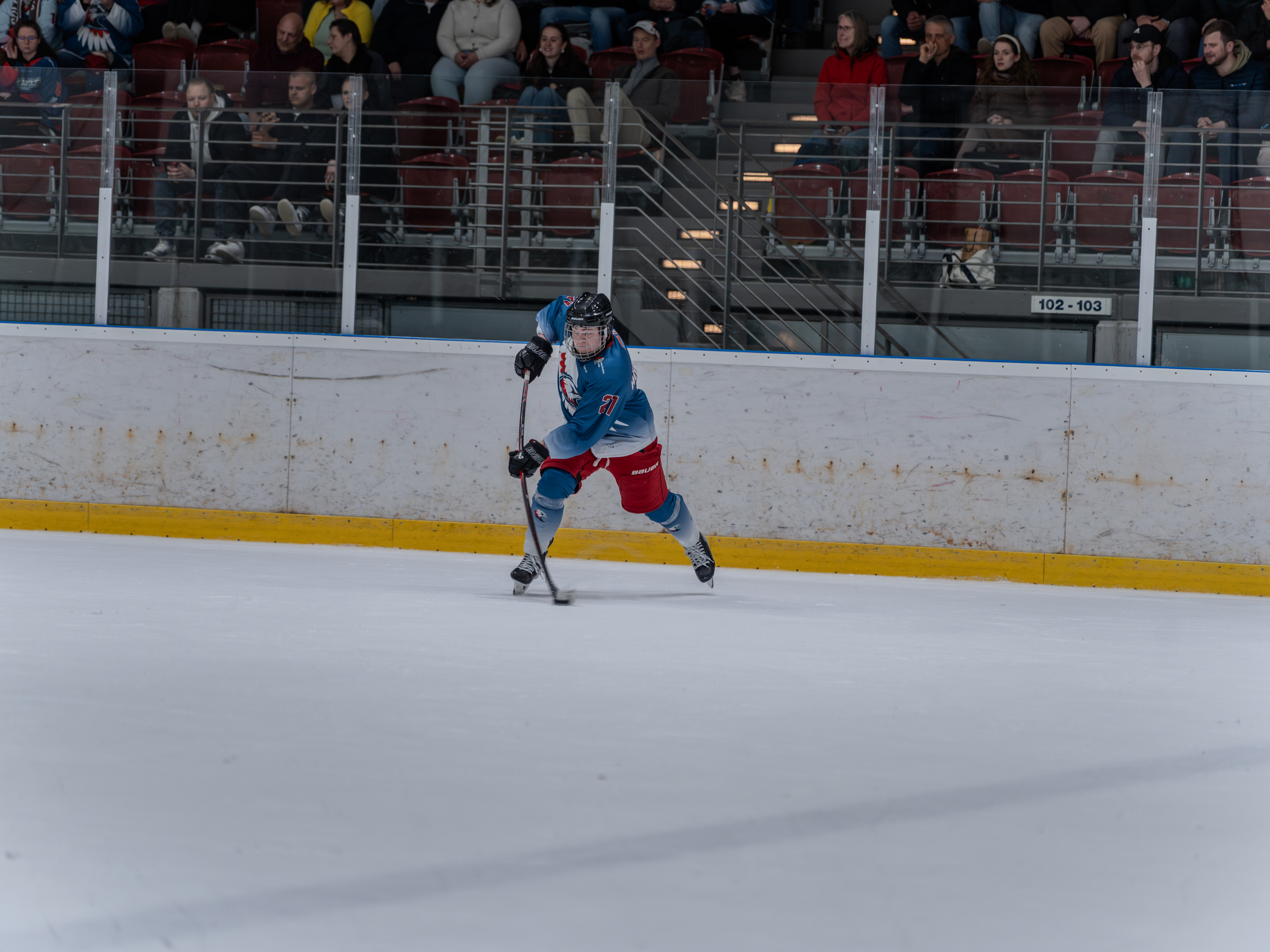 Playoff-Zusammenfassung & Finalvorschau: Hawks vs. Flippers